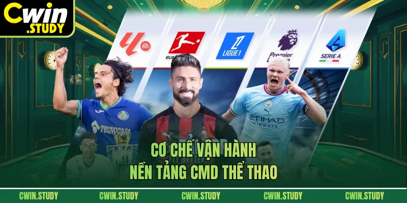 Cơ chế vận hành nền tảng CDM thể thao