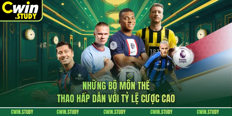 Những bộ môn thể thao hấp dẫn với tỷ lệ cược cao